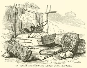 Outils utilisés pour la pêche au crabe - English School